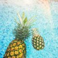 Ananas dans une piscine chauffée